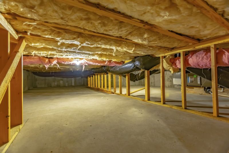 Damaged Crawlspace Insulation